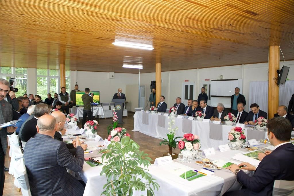 Ordu ve Tokat illerinin birbirine sınır olan ilçelerinin başta ulaşım,