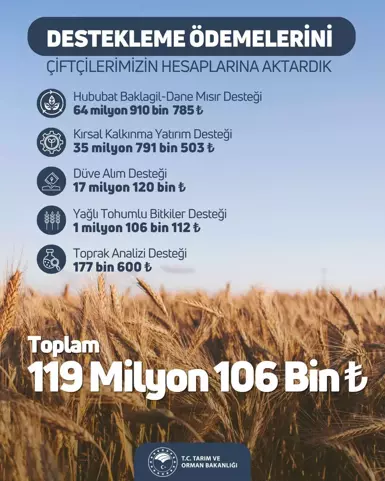 Tarım ve Orman Bakanlığı, toplamda 119 milyon 106 bin TL