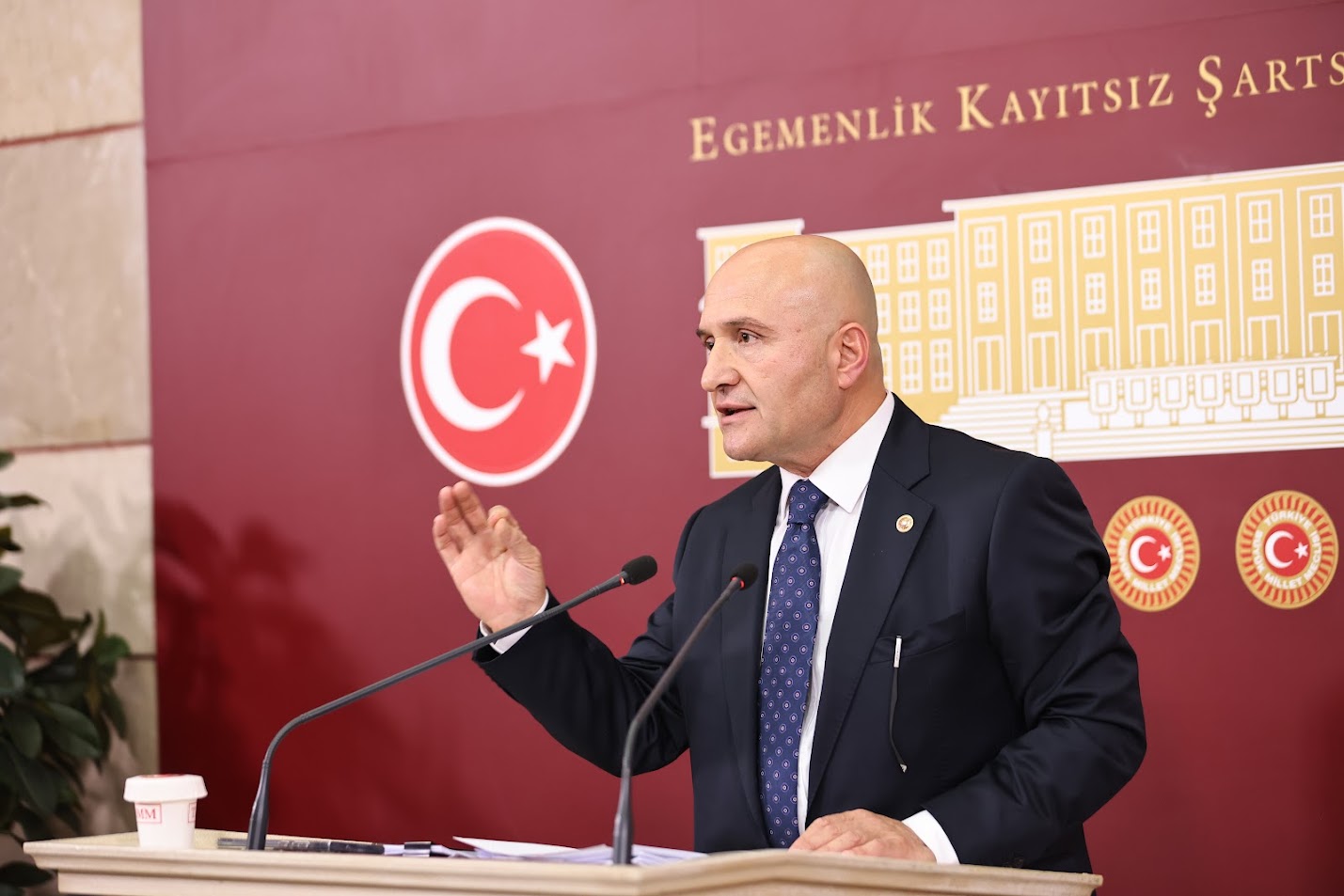 İYİ Parti Ekonomi Politikaları Başkanı, Samsun Milletvekili ve TBMM Plan