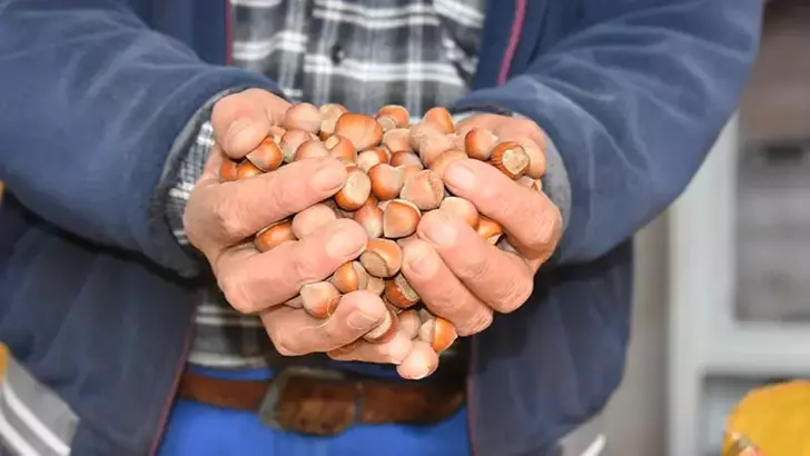 Ordu’da Altınordu Ziraat Odası Başkanı Atakan Akça, pazara inmeyen yaklaşık