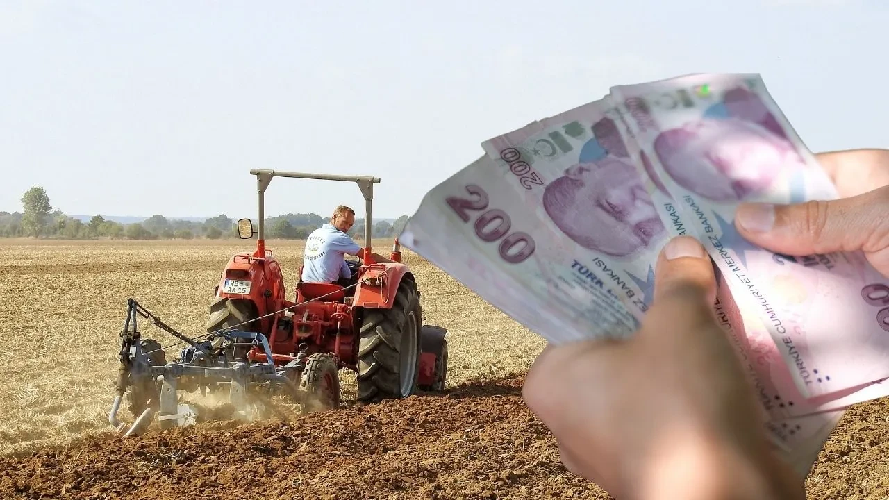 Türkiye İstatistik Kurumu (TÜİK), tarım ürünleri üretici fiyatlarının ocakta aylık yüzde 2,74,