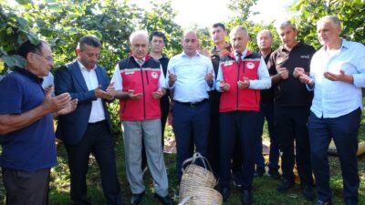 Selim Kuşcu ORDU – Ordu’nun sahil kesiminde 2026 yılı fındık hasadı,
