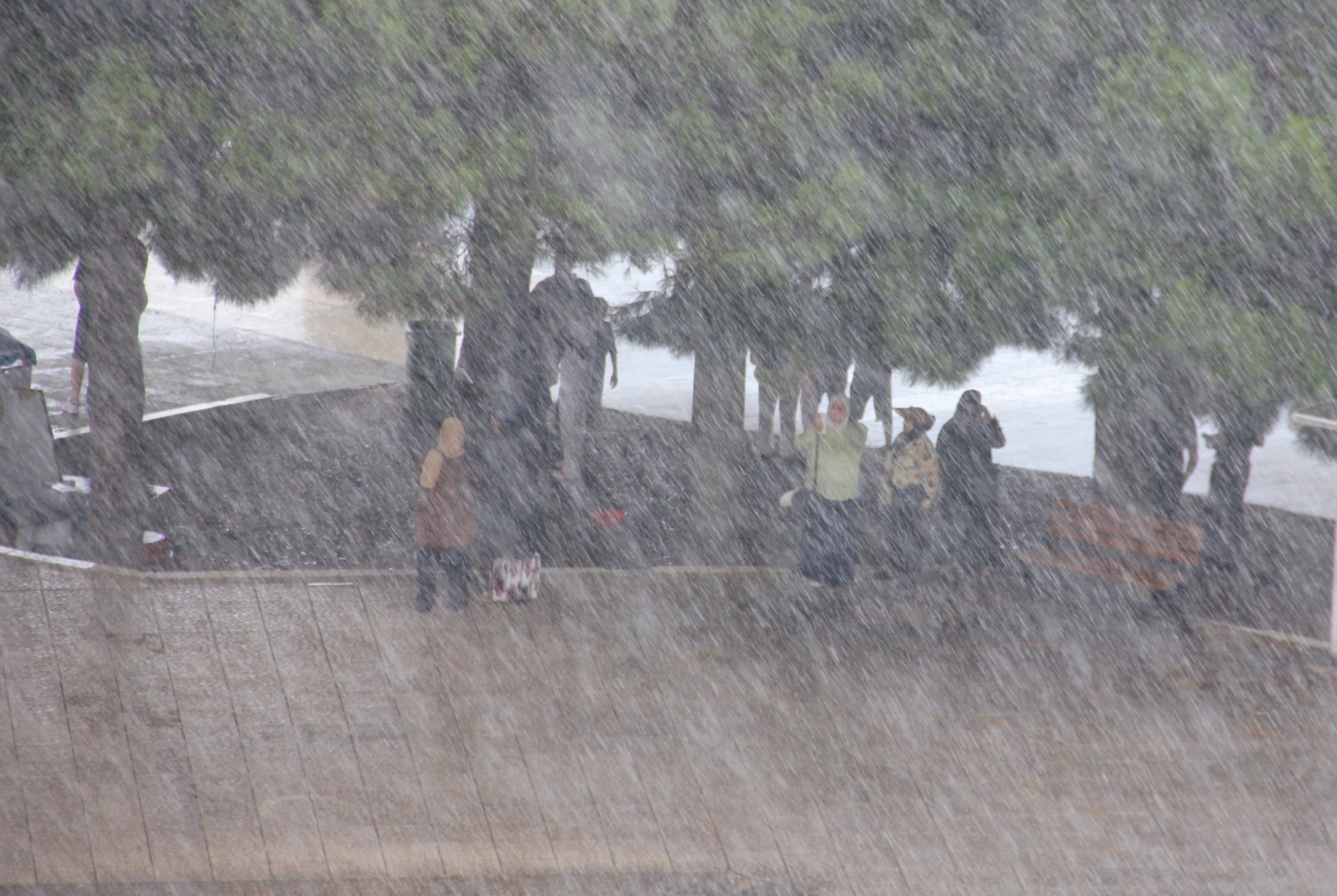 SAMSUN – Çevre, Şehircilik ve İklim Değişikliği Bakanlığı Meteoroloji Genel