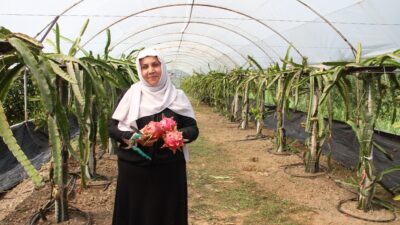 Nuri Oğuzhan Şeker SAMSUN – Samsun’un Çarşamba ilçesinde kadın girişimci