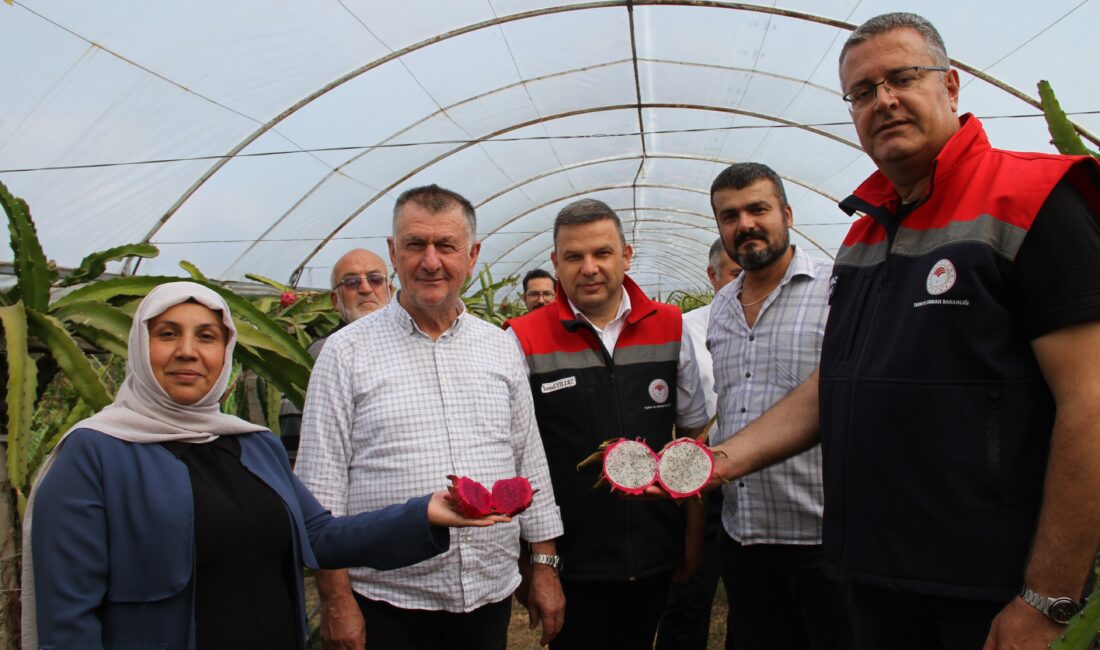 Nuri Oğuzhan Şeker SAMSUN – Samsun İl Tarım ve Orman
