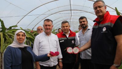 Nuri Oğuzhan Şeker SAMSUN – Samsun İl Tarım ve Orman