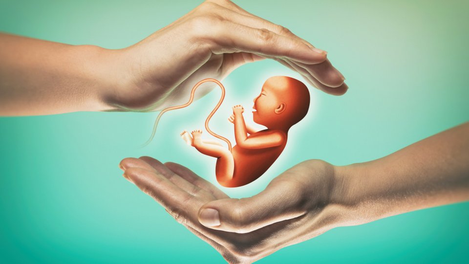 Cemal Kaan Karakurum ADANA – Kadın Hastalıkları ve Doğum Uzmanı