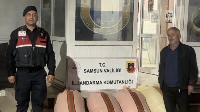 Muhammer Ay SAMSUN – Samsun’un Çarşamba ilçesinde, vatandaşın fındıklarını alıp